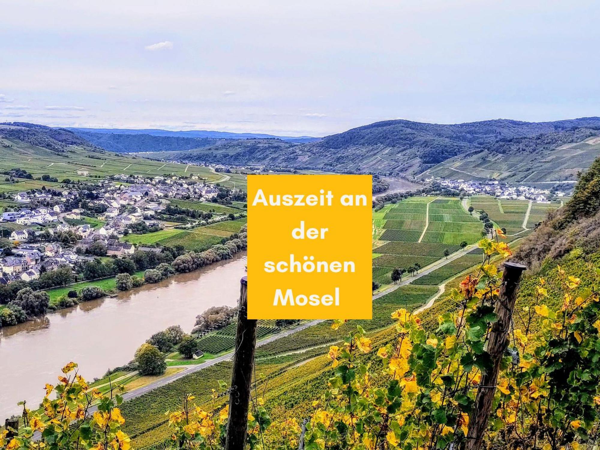 Komfort Fewo L Moselstay L Maximal 4 Personen Und Baby I Brauneberg Mosel I Wifi I Buitenkant foto